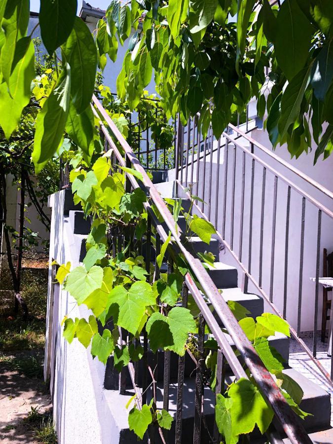 Renata Holiday Apartments Ulcinj Esterno foto